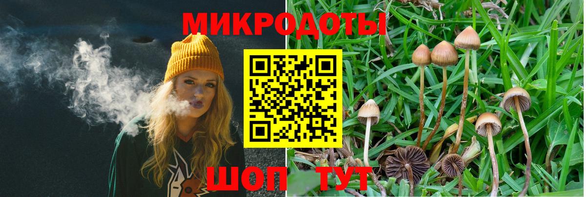 Псилоцибиновые грибы Magic Shrooms  Вход с VPN  Краснотурьинск 